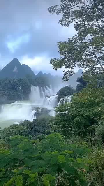 武魂2